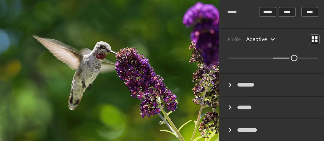 Lightroom
