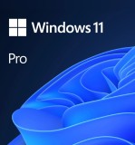 Windows PRO 11