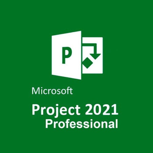 Microsoft Project Pro 2021